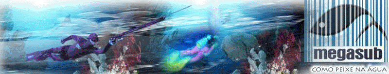 �ndice do F�rum MEGASUB